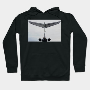 whale or tail Hoodie